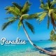 Paradise - Fernan Birdy-