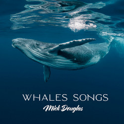Whales Songs